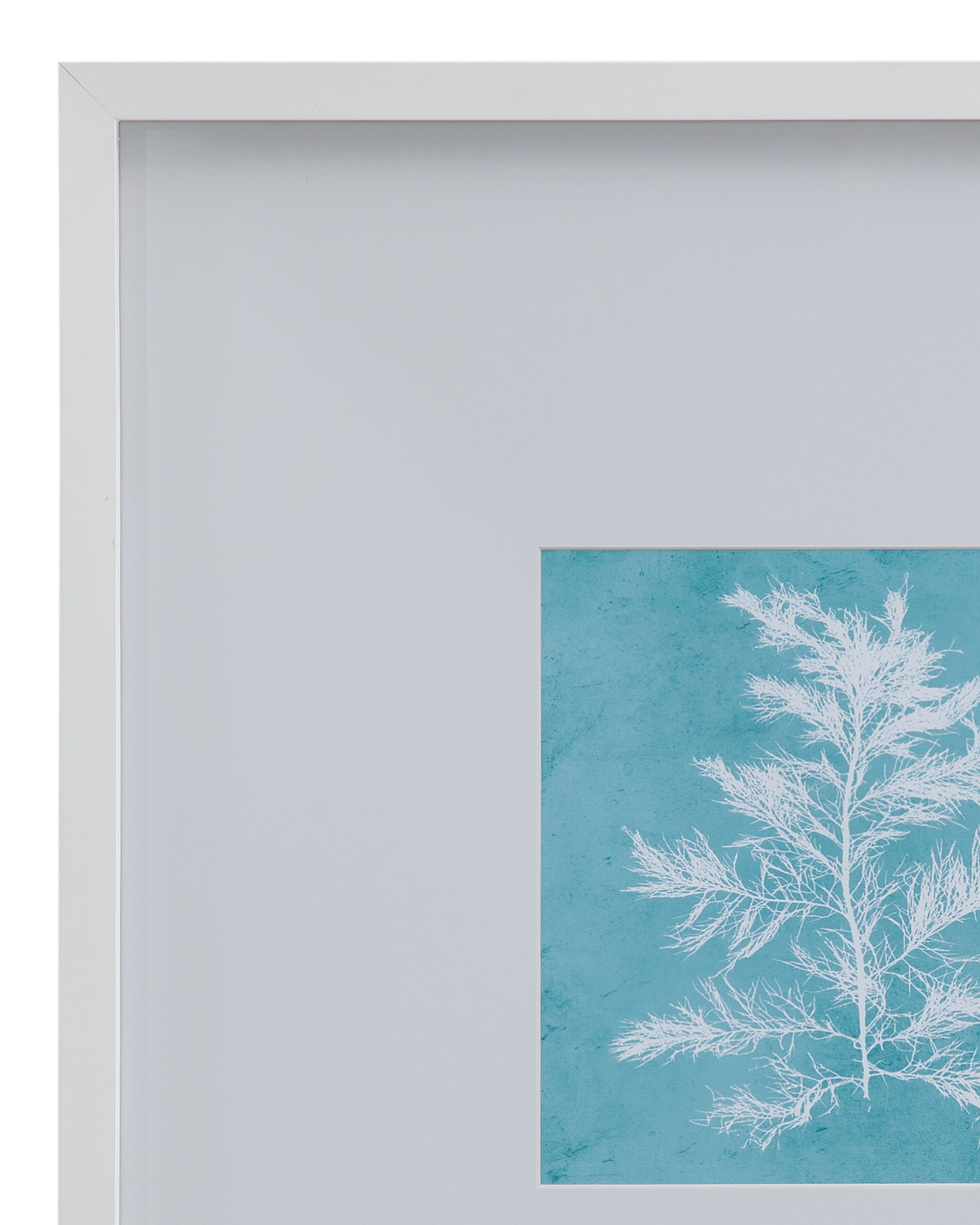 White Coral On Blue IV Framed Print