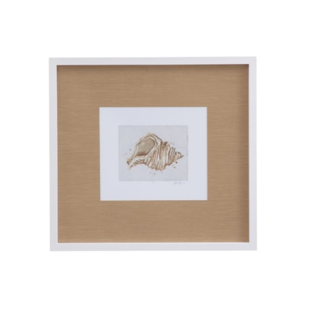Neutral Shell Fresco II Framed Print