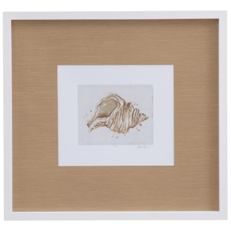 Neutral Shell Fresco II Framed Print