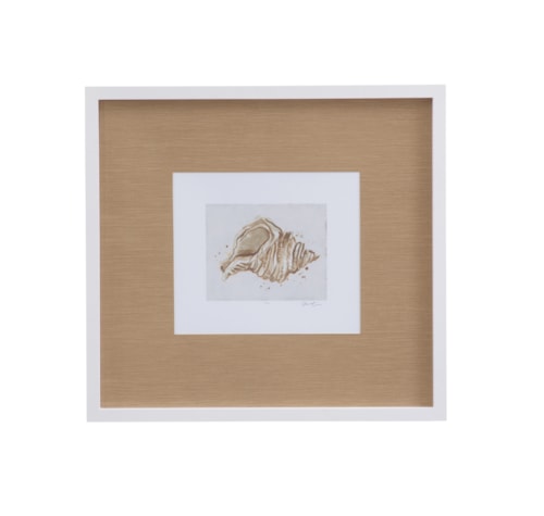 Neutral Shell Fresco II Framed Print