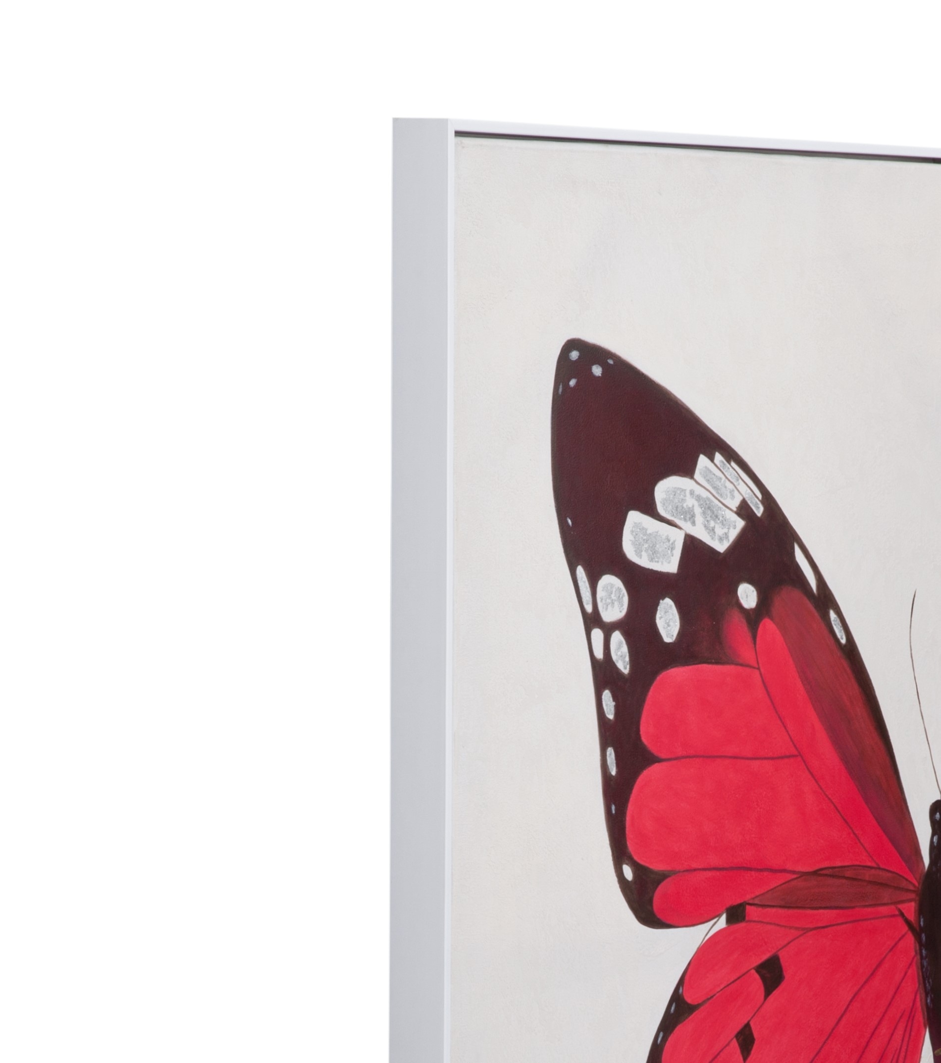 Butterfly Framed Canvas Set Of 2
