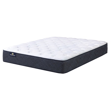 Twin 13.5" Anniversary Plush Mattress Only