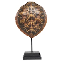 Faux Loggerhead Turtle Shell On Stand