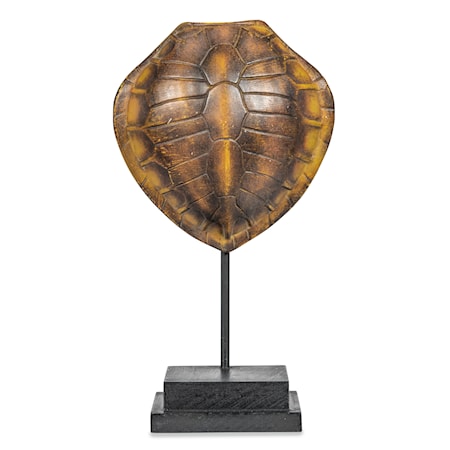 Faux Olive Ridley Turtle Shell on Stand