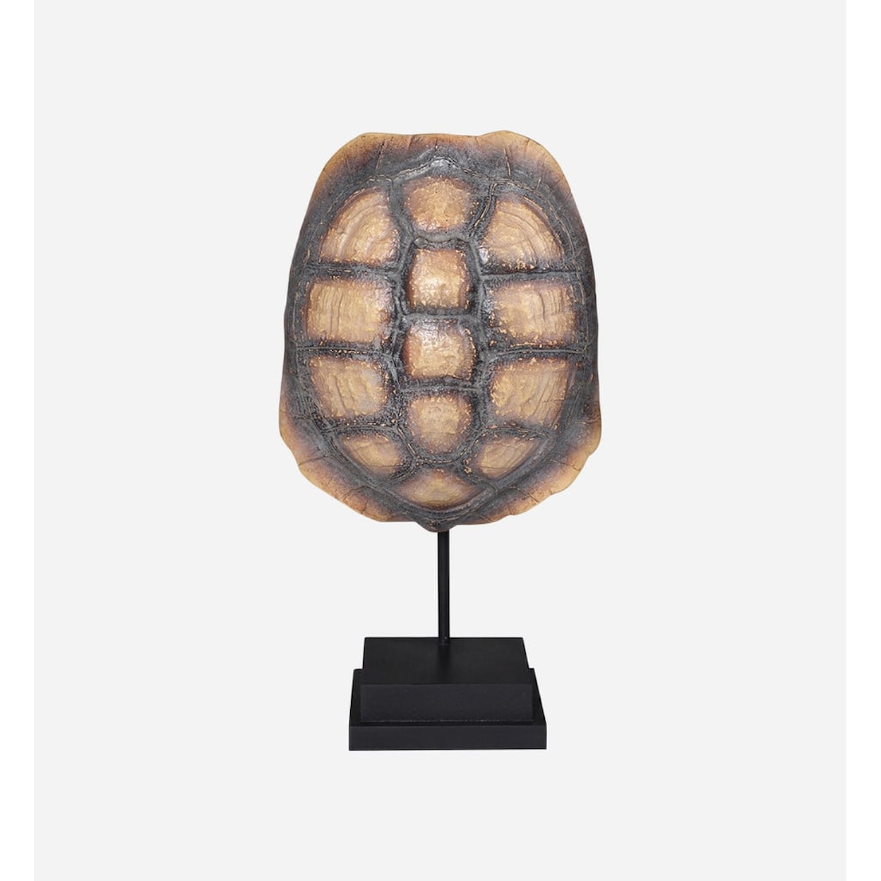 BOBO Intriguing Objects BOBO Intriguing Objects Faux Yellow Footed Tortoise Shell on Stand