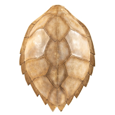 Faux Hawksbill Turtle Shell