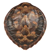 Faux Loggerhead Turtle Shell