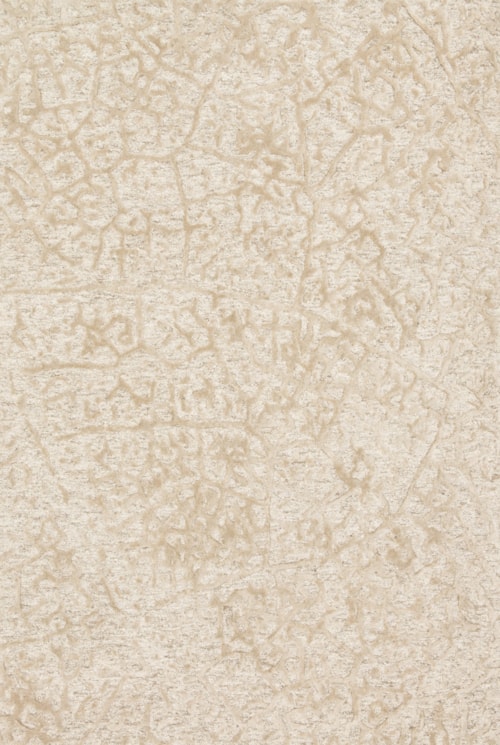 1'6" x 1'6"  Ant Ivory / Beige Rug