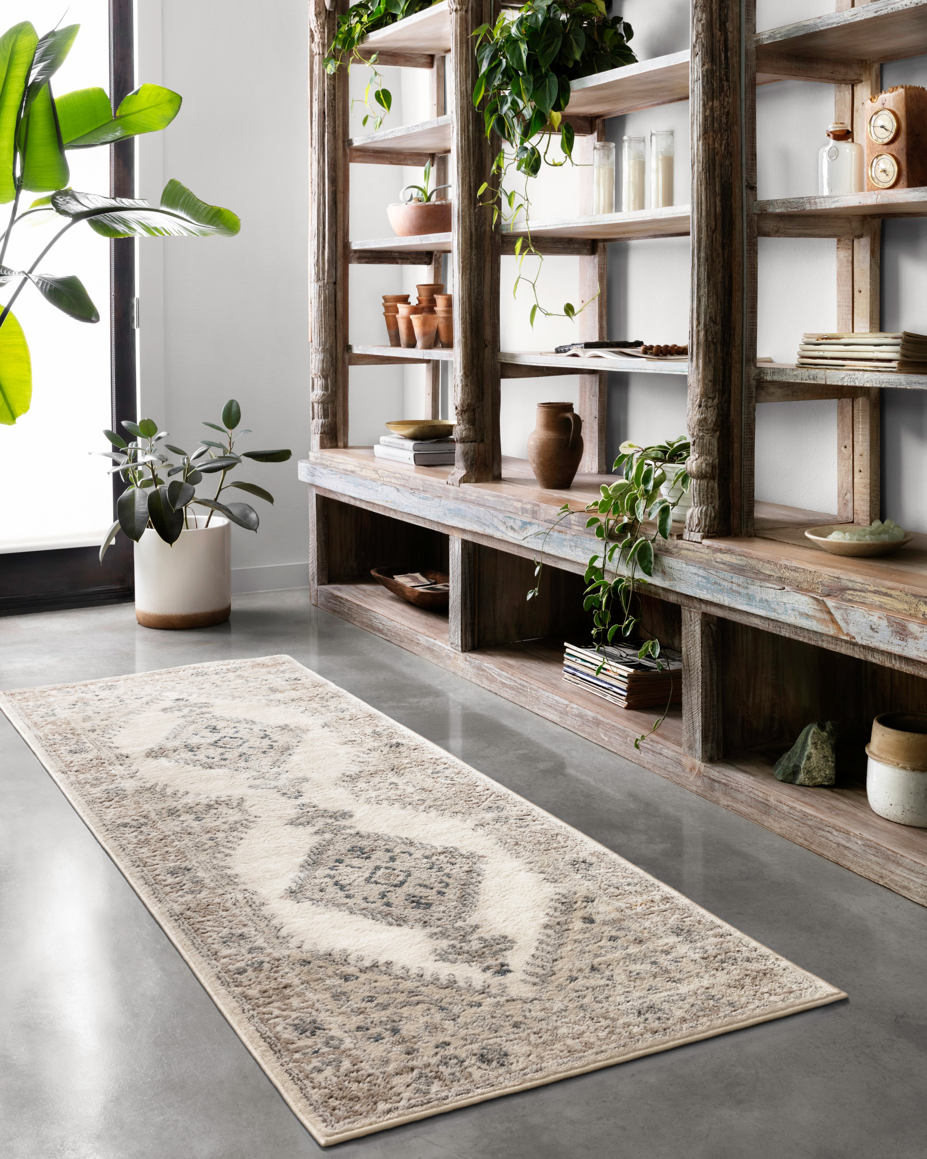 Loloi Rugs Teagan 18" x 18"  Rug