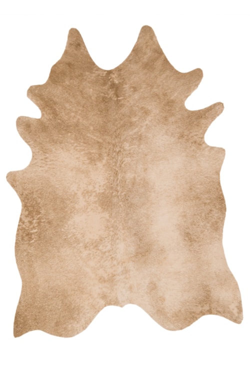 6'-2" X 8' Area Rug