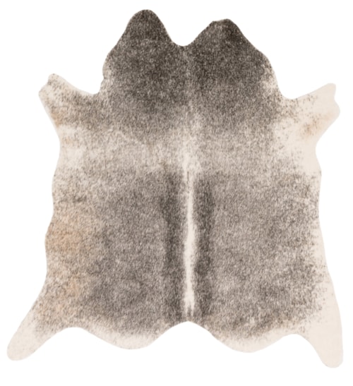 3'-10" X 5' Area Rug