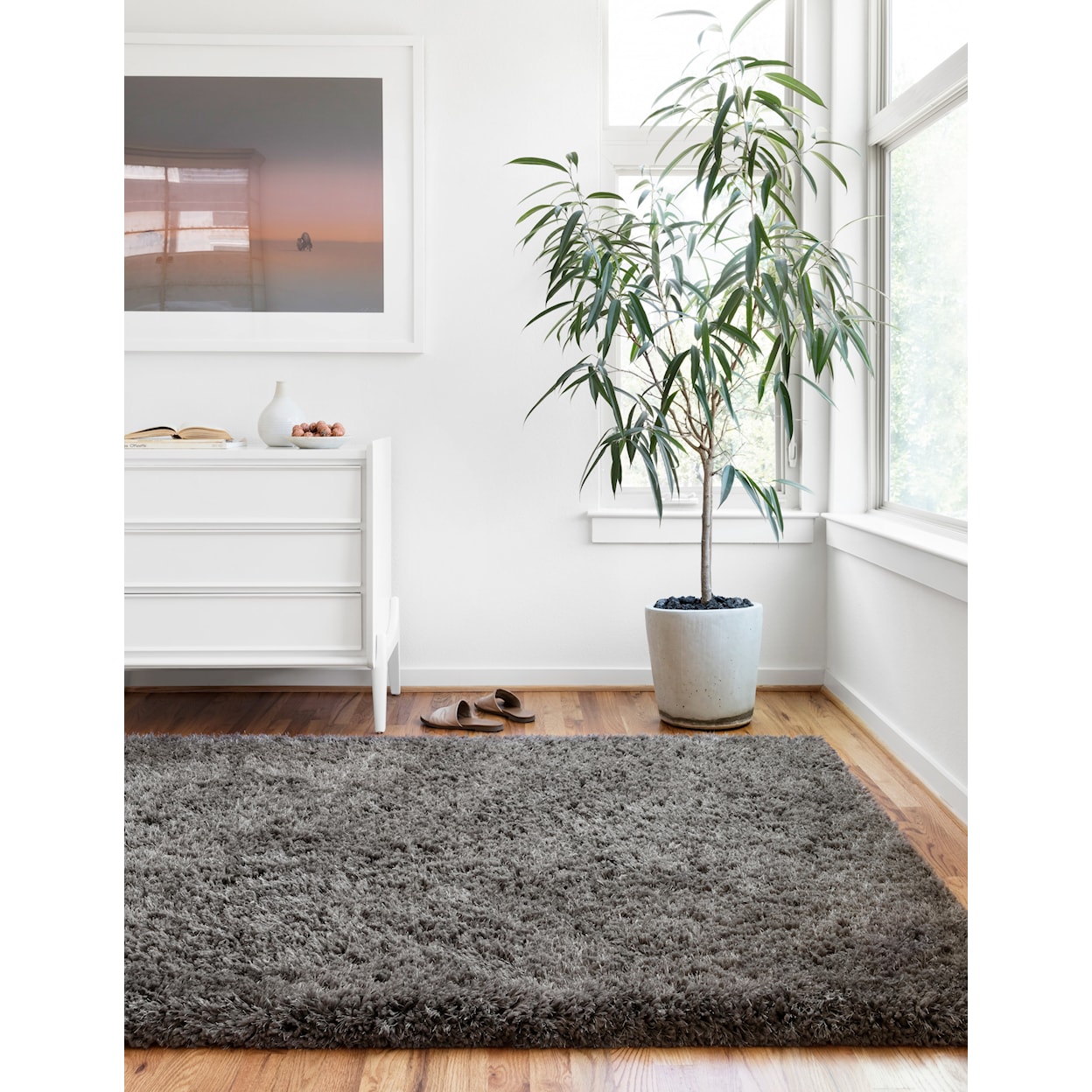 Reeds Rugs MILA SHAG 9'3" x 13'  Rug