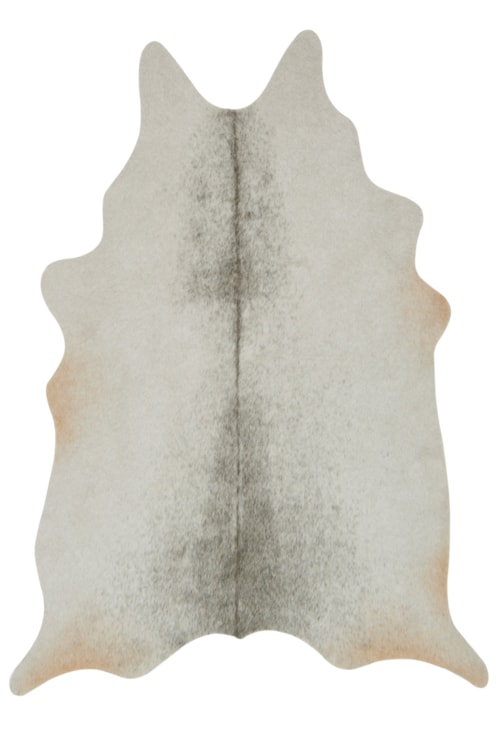 3'-10" X 5' Rug