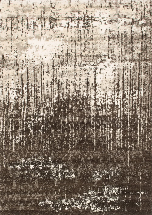 8'11" x 12'5" Ivory / Brown Rug