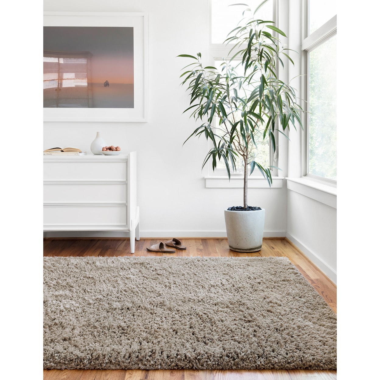 Reeds Rugs MILA SHAG 2'3" x 3'9"  Rug