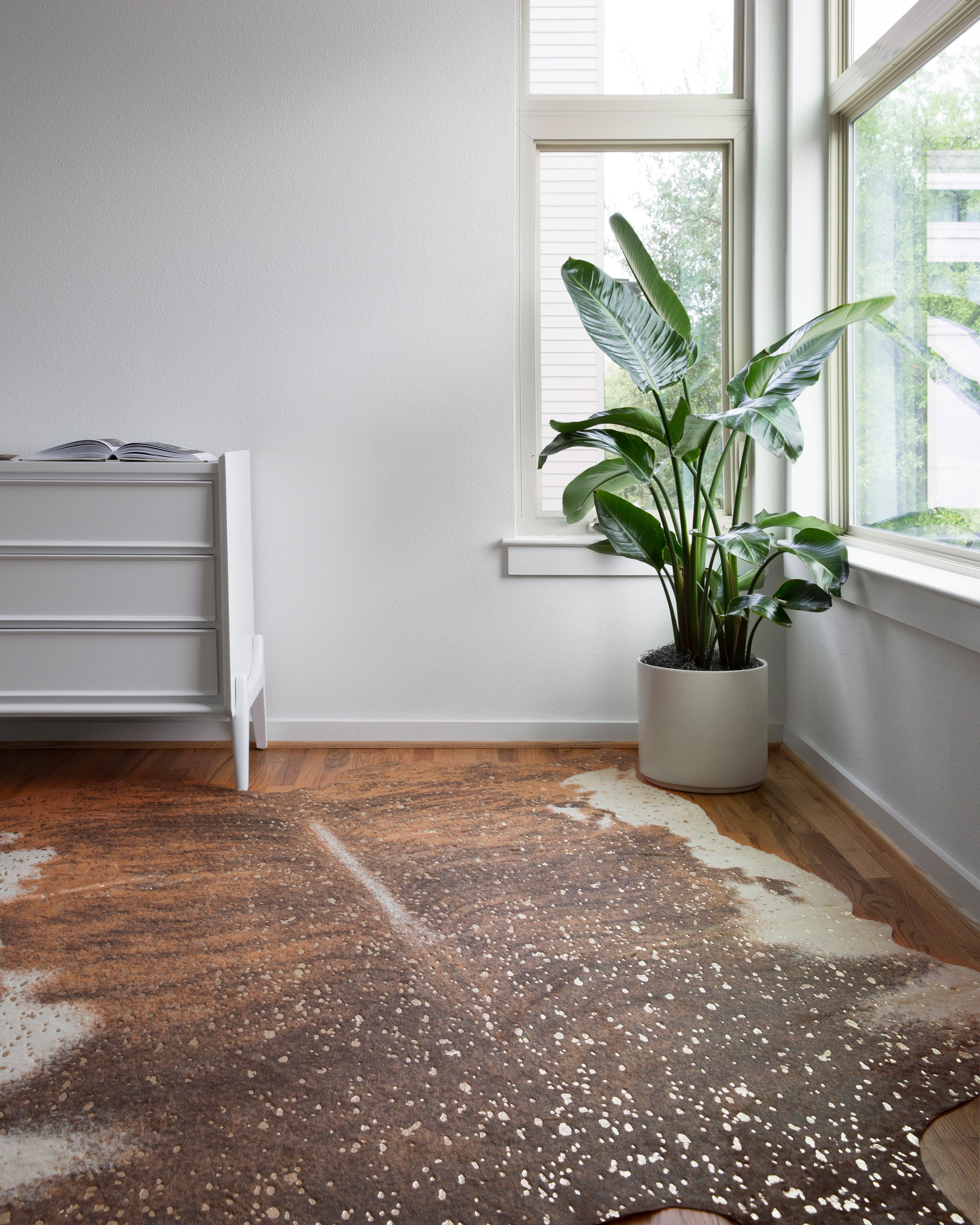 3'-10" X 5' Area Rug