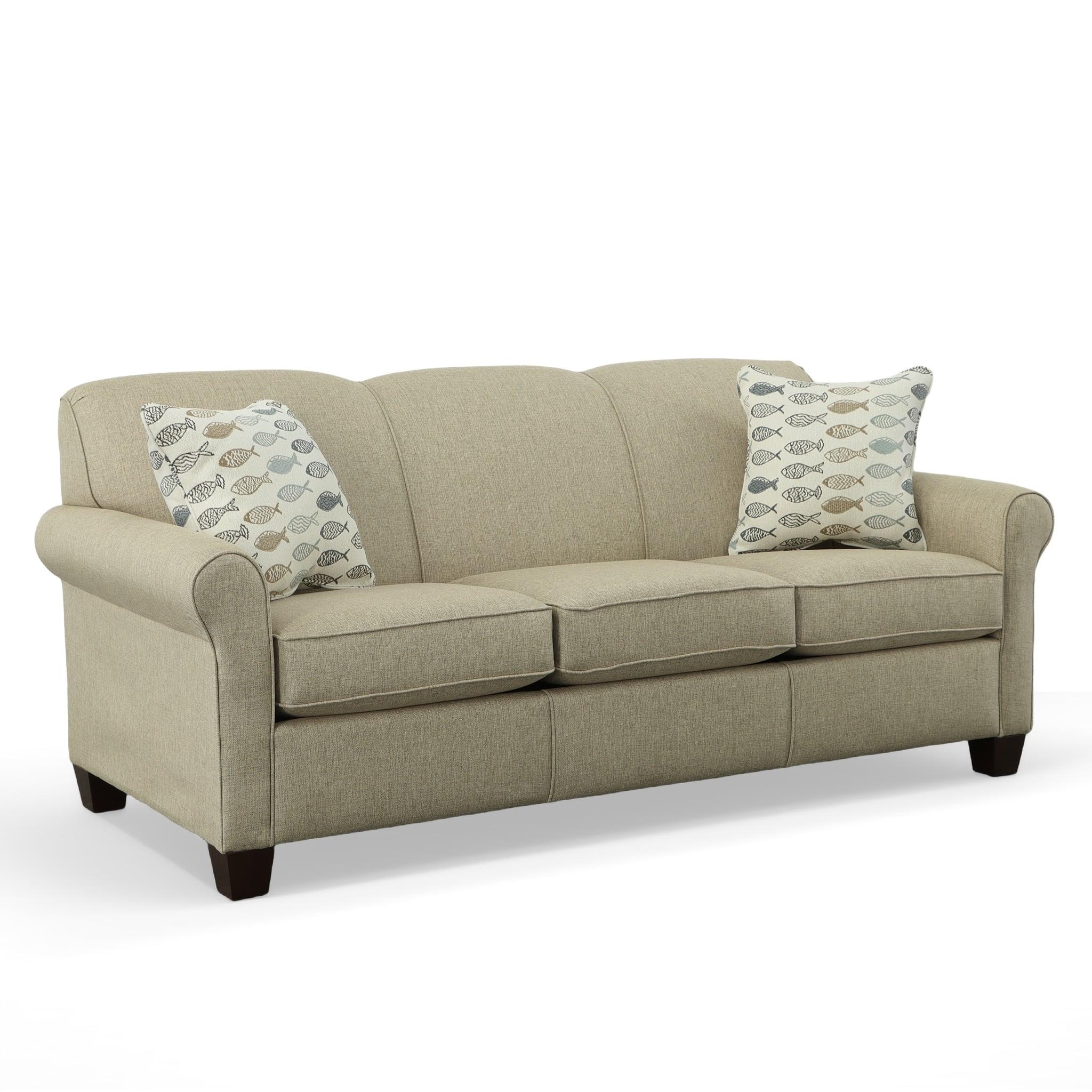 Queen Sleeper with Visco Mattress