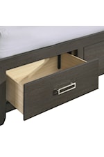 Elements International Sasha Contemporary Queen Platform Storage Bed with LED Lights and Bluetooth Speakers