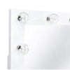 Elements International Ariana Ariana Complete Vanity with Lightbulbs