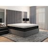 Elements International Zone Support Butterfly Mattresses