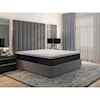 Elements International Simple Sleep Mattresses