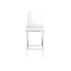 Elements Zane Clear Barstools