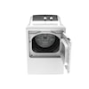 GE Appliances Laundry Dryer