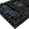 Bosch Gas Ranges Cooktops (Gas)