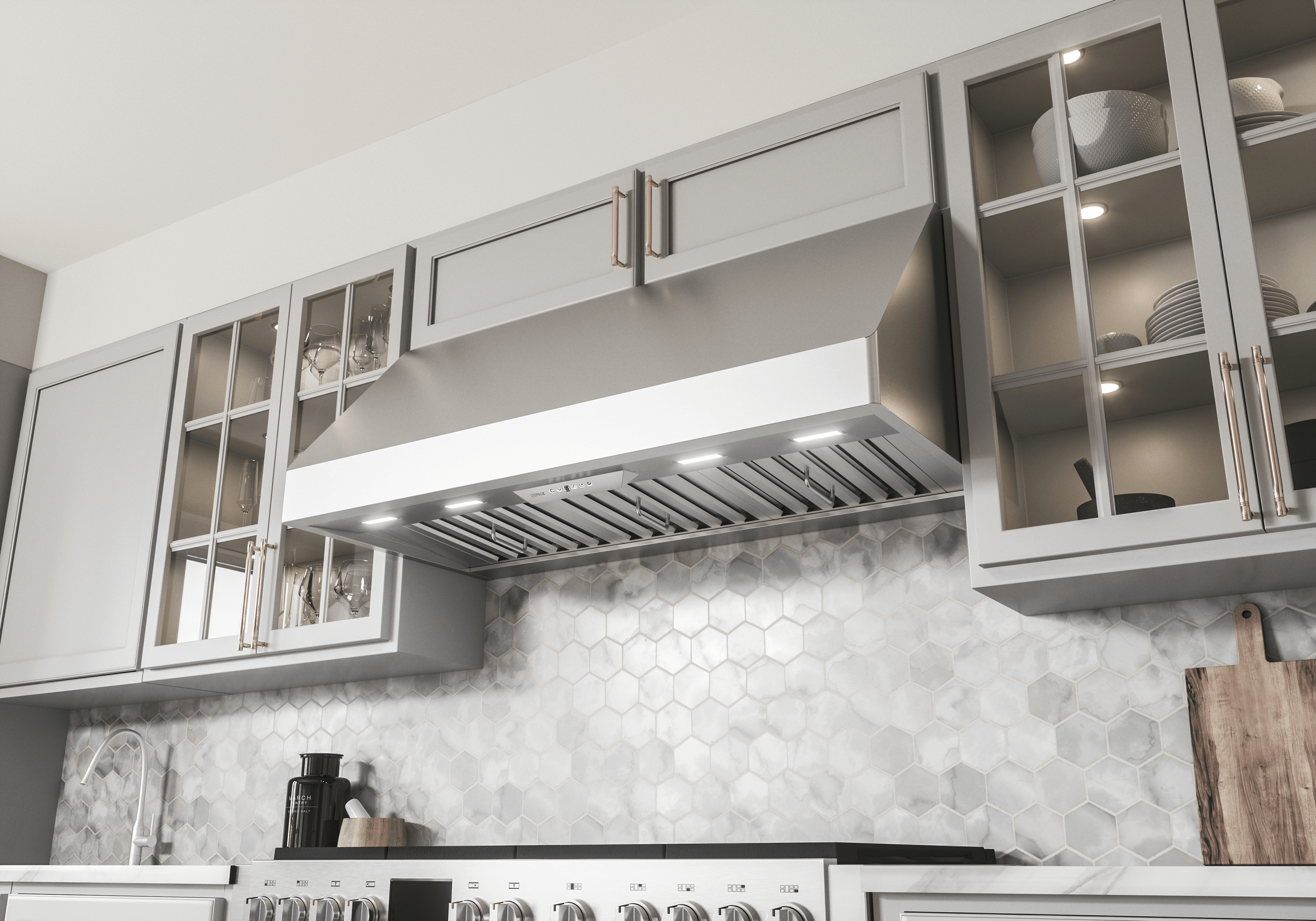 Zephyr Hoods Professional Hood