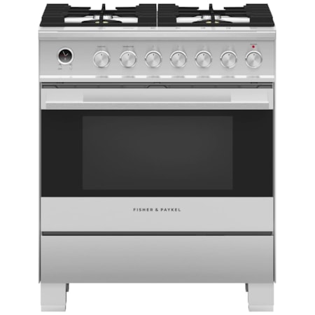 Professional Gas Range