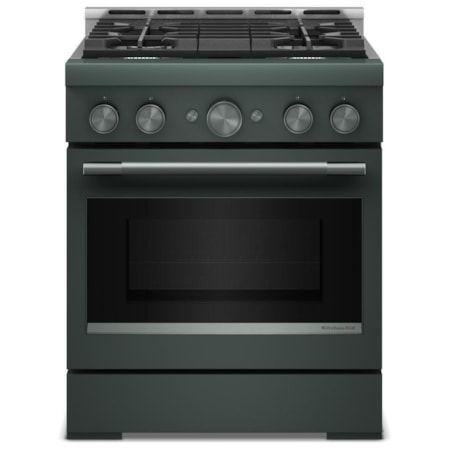 Professional Gas Range