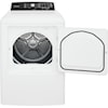 Frigidaire Laundry Dryer