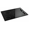 Amana Electric Ranges Cooktops (electric)