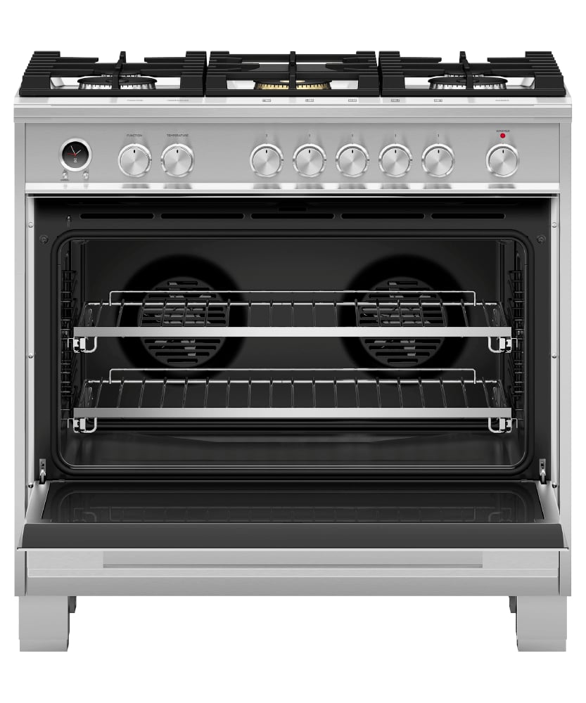 Professional Gas Range