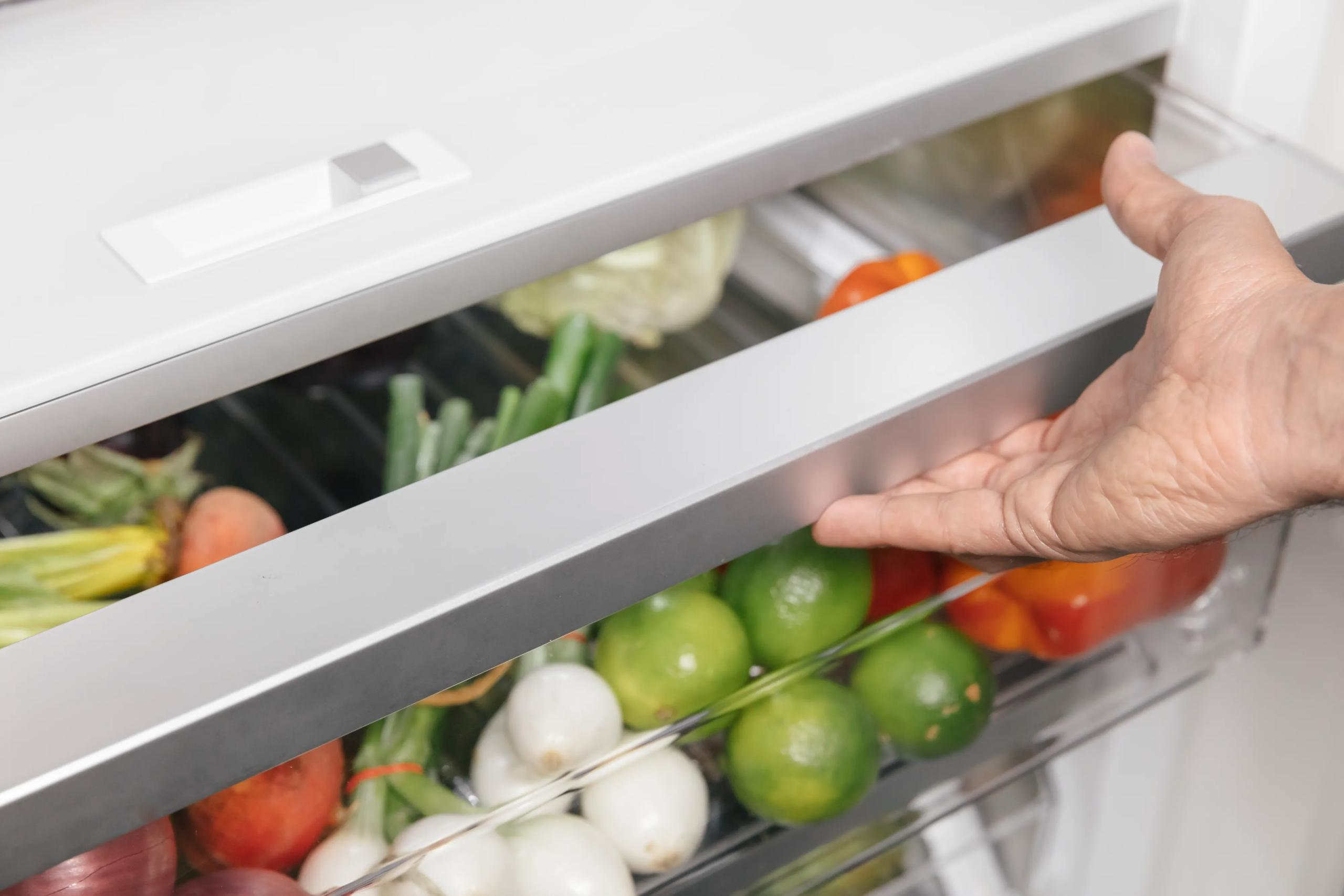 Thermador Refrigerators No Freezer Built In Refrigerator