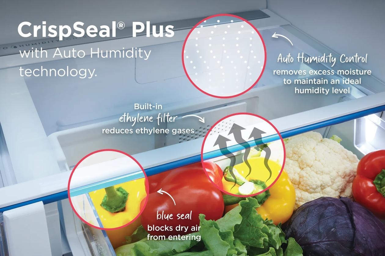 French Door Freestanding Refrigerator