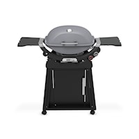 Q 2800N+ Gas Grill With Stand (Liquid Propane) - Smoke Grey
