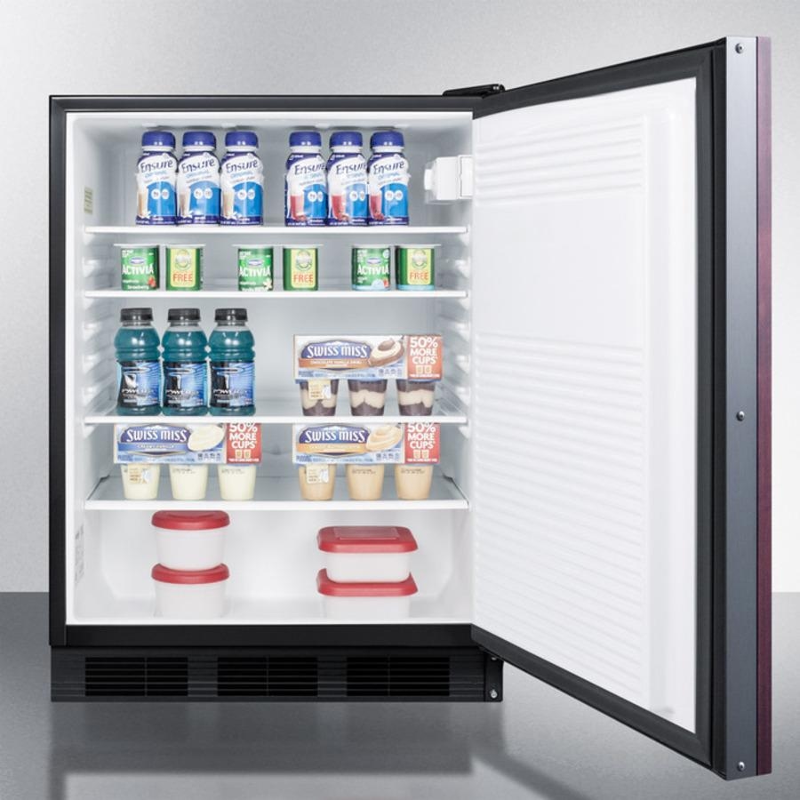 Compact Refrigerator