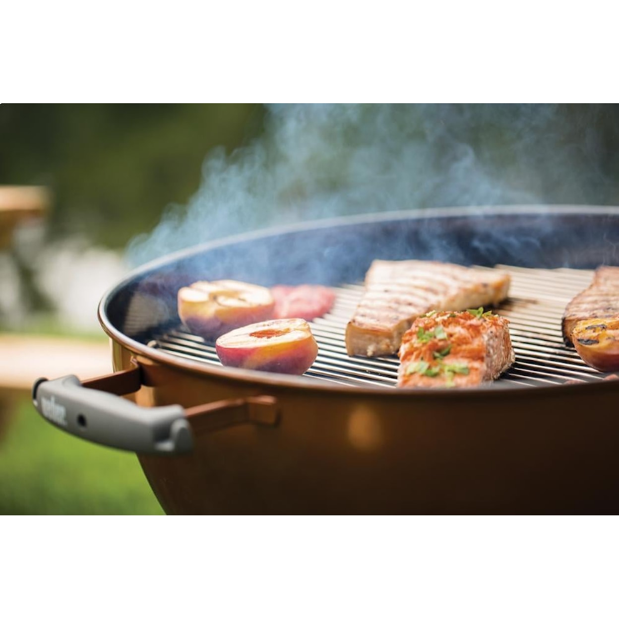 Weber Grills Barbeques Grill