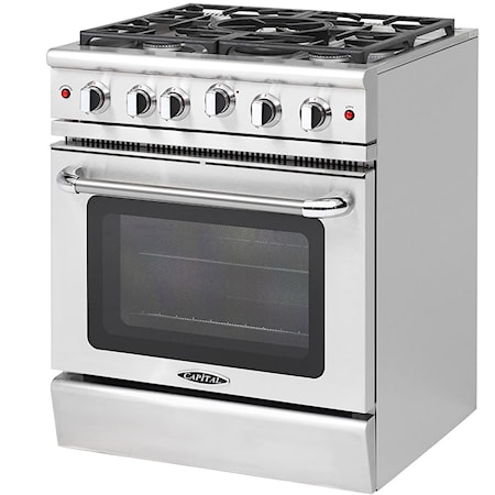 Professional Gas Range