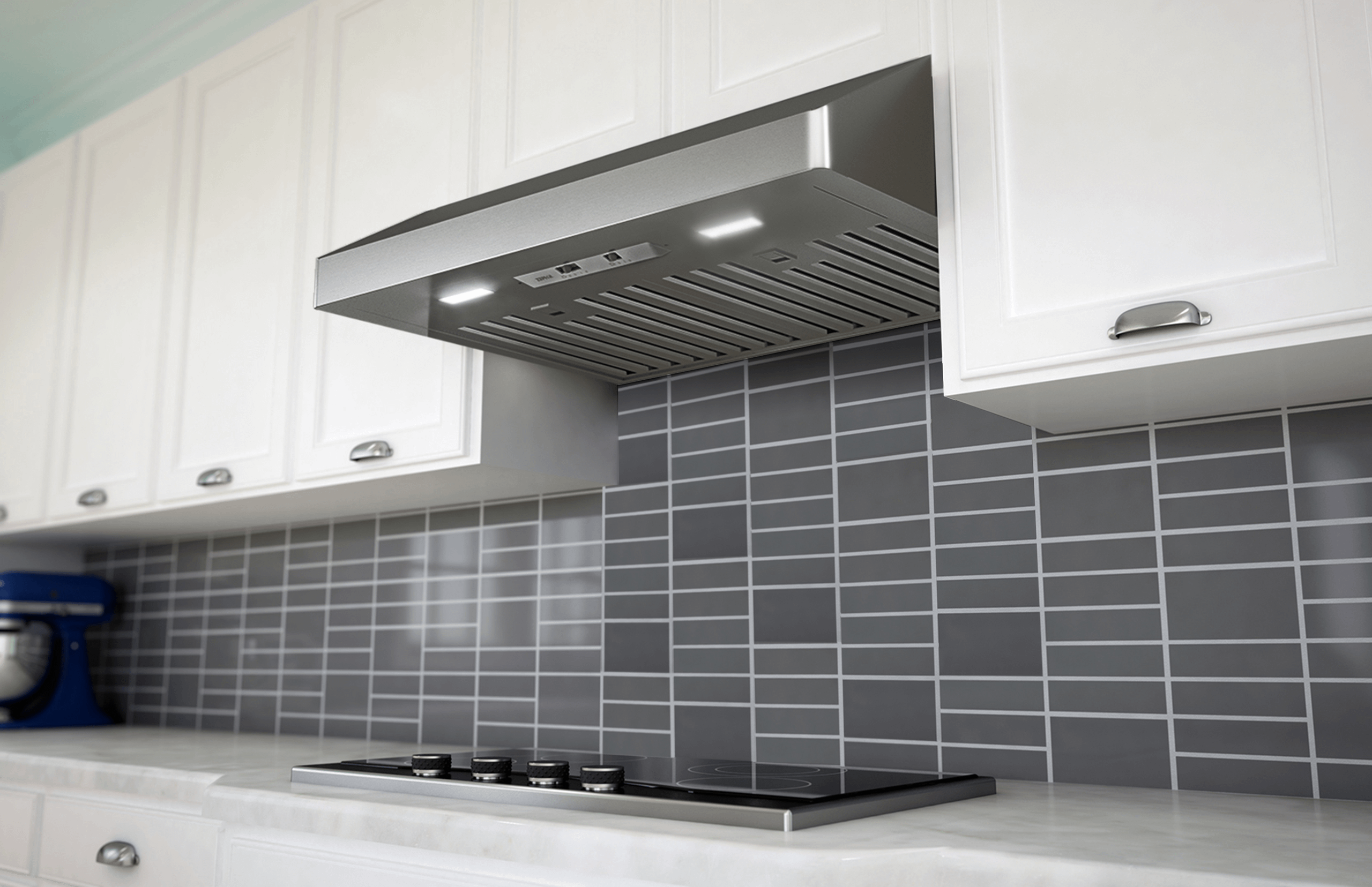 Zephyr Hoods Professional Hood