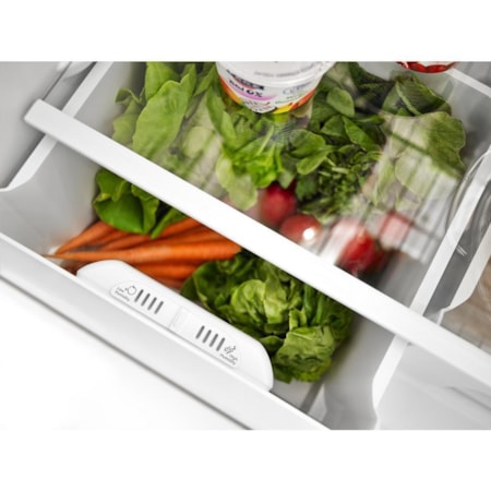 Amana Top Freezer Freestanding Refrigerator