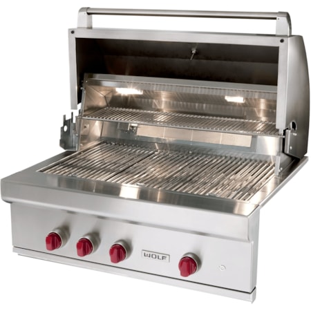 Wolf Pro Style Gas Grill