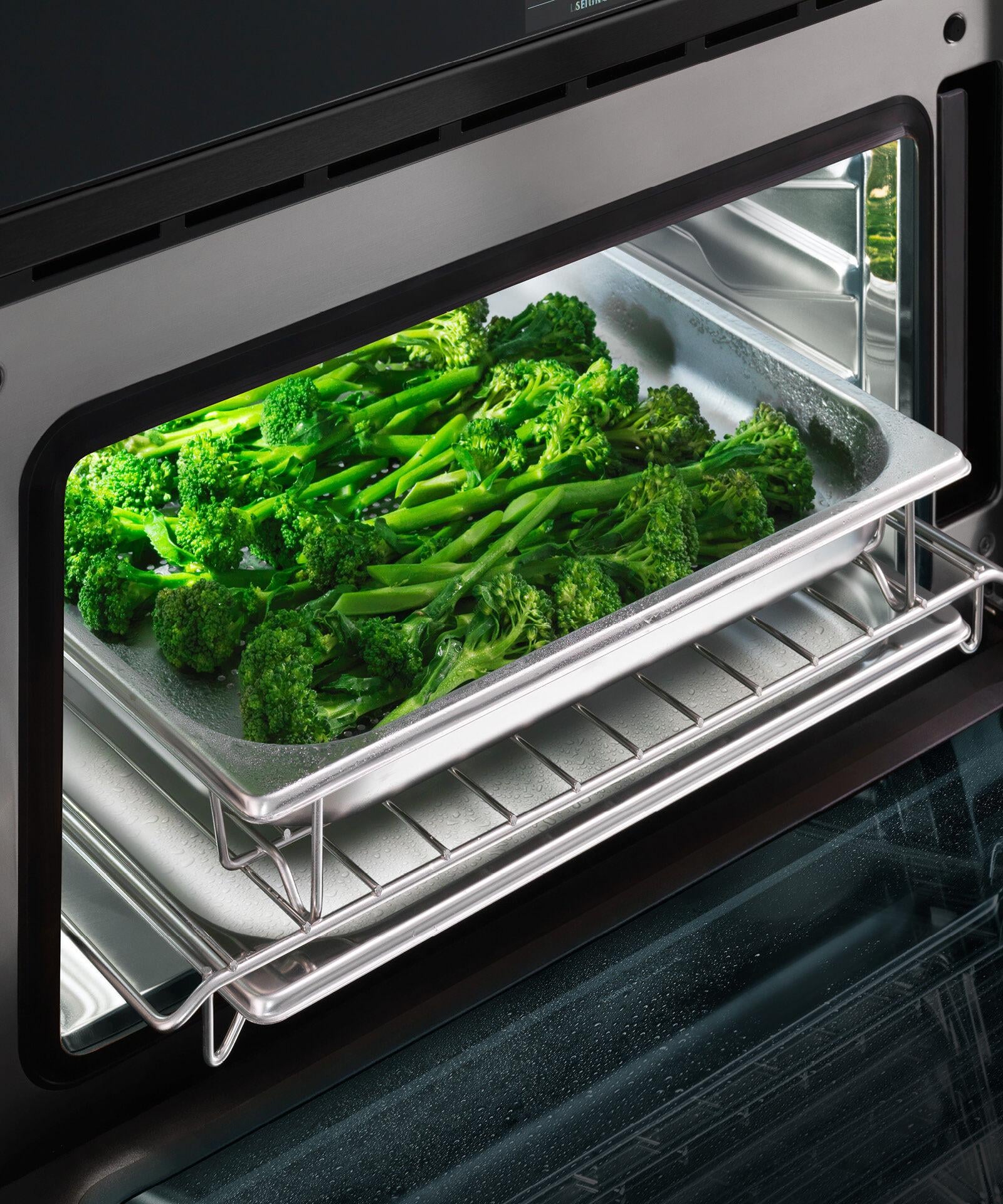 Fisher and Paykel Electric Ranges Single Wall Electric Oven