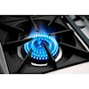 Capital Gas Ranges 36" And Larger Free Standing Gas Range