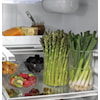 Café Refrigerators French Door Freestanding Refrigerator