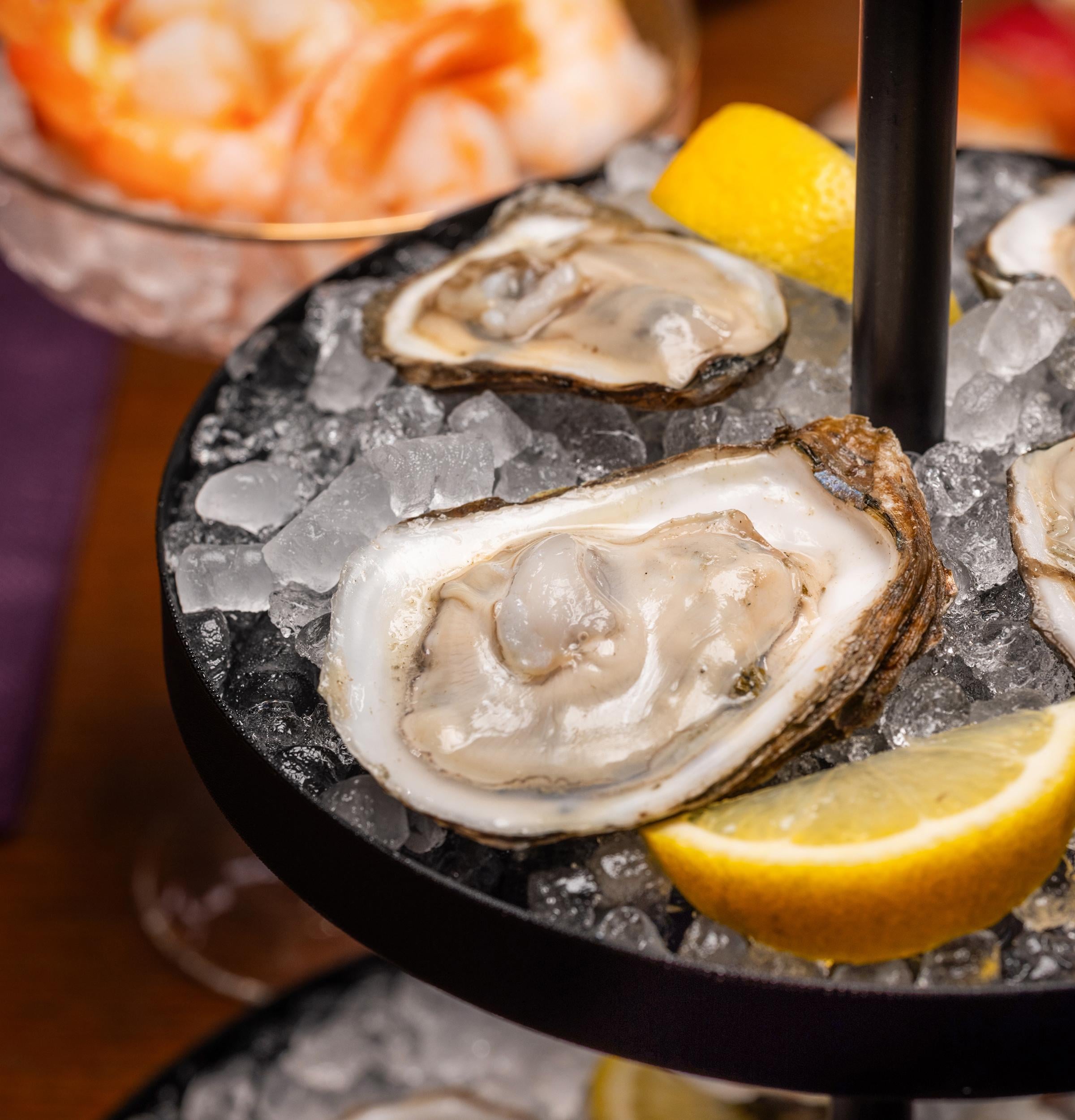 GE Appliances Freezers GE Appliances Ice Maker