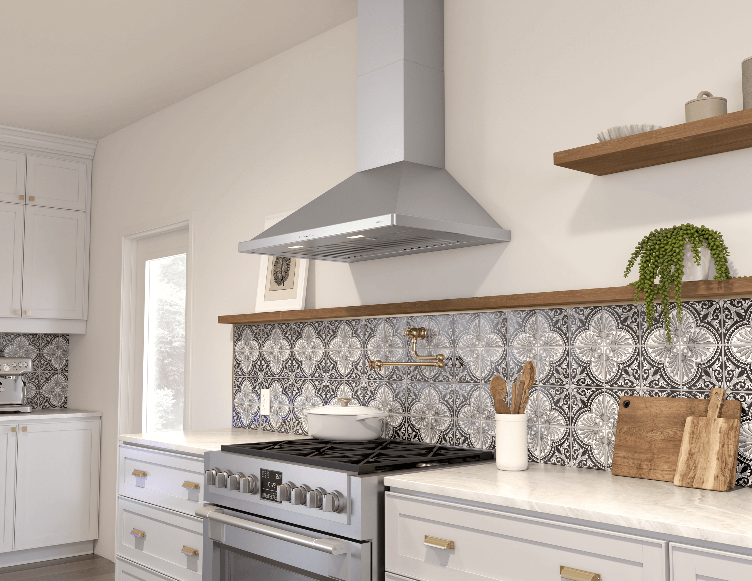 Zephyr Hoods Professional Hood