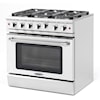 Capital Gas Ranges Professional Gas Range