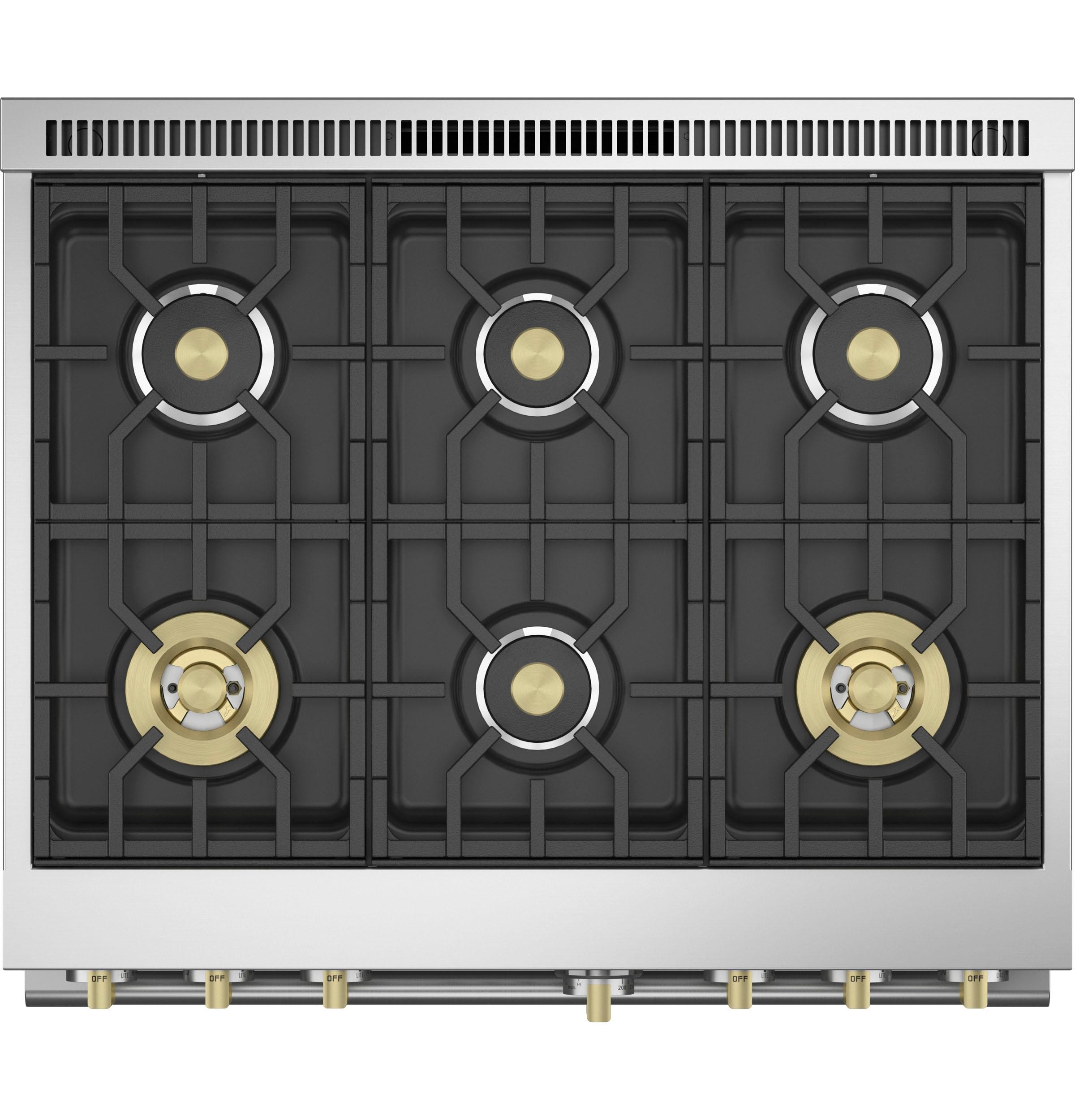 Professional Gas Range